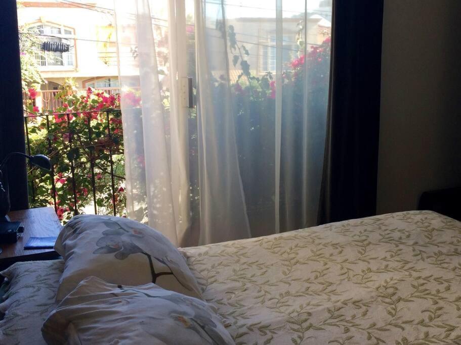 B&B Oui Madame Tijuana Zimmer foto