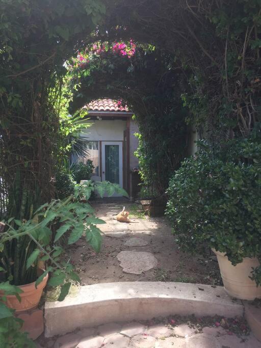 B&B Oui Madame Tijuana Zimmer foto