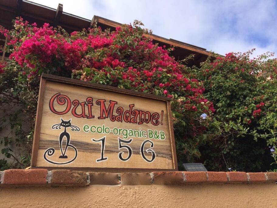 B&B Oui Madame Tijuana Zimmer foto